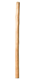 Medium Size Natural Finish Didgeridoo (TW1280)